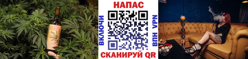 Купить  Сураж  Canna-Cookies конопля 