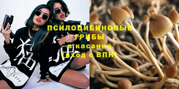 mix Аркадак