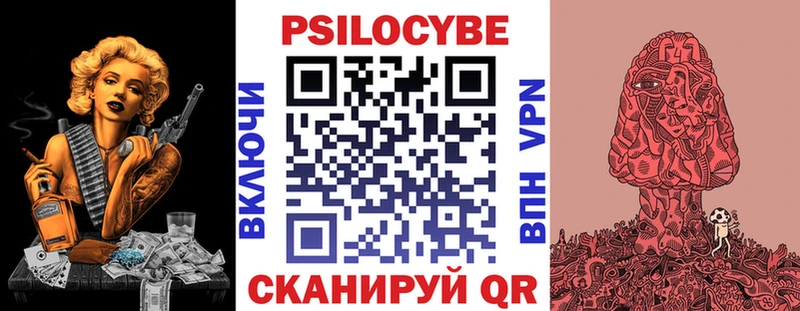 Купить где  Сураж  Псилоцибиновые грибы GOLDEN TEACHER 